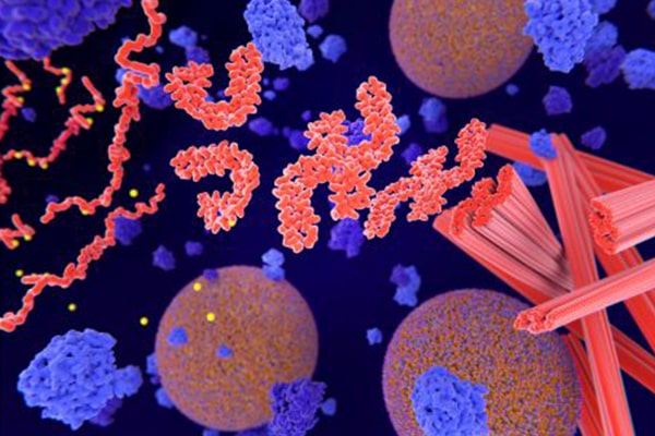 Illustration of proteins forming soluble and insoluble aggregates