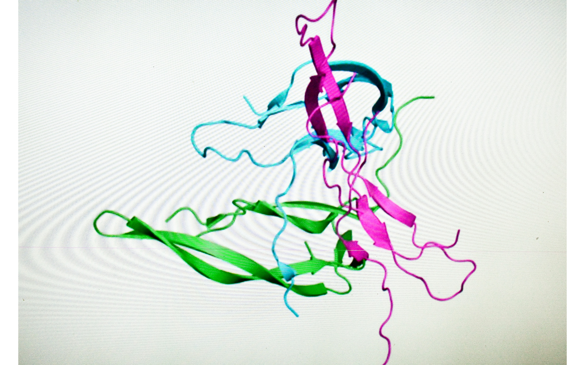 Multicolor protein ribbon structure illustrating fusion protein placement