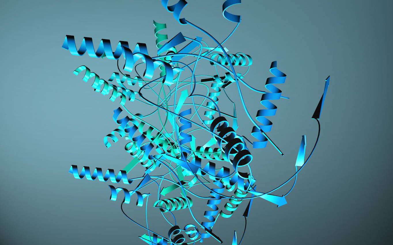 Ribbon representation of a recombinant protein illustrating affinity-tag strategy in protein production