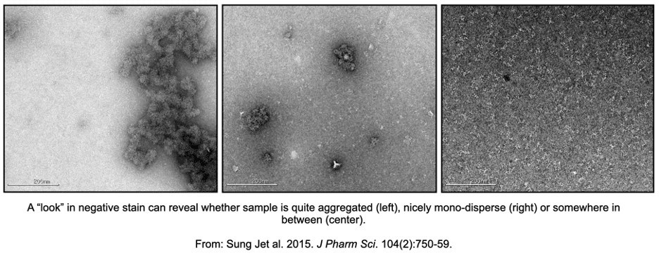 Negative-stain micrographs comparing aggregated, intermediate, and monodisperse protein samples