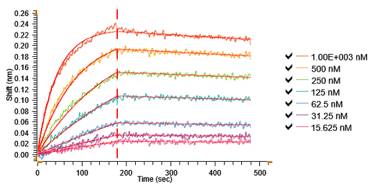 BLI sensorgrams showing Fab binding to antigen across a concentration series