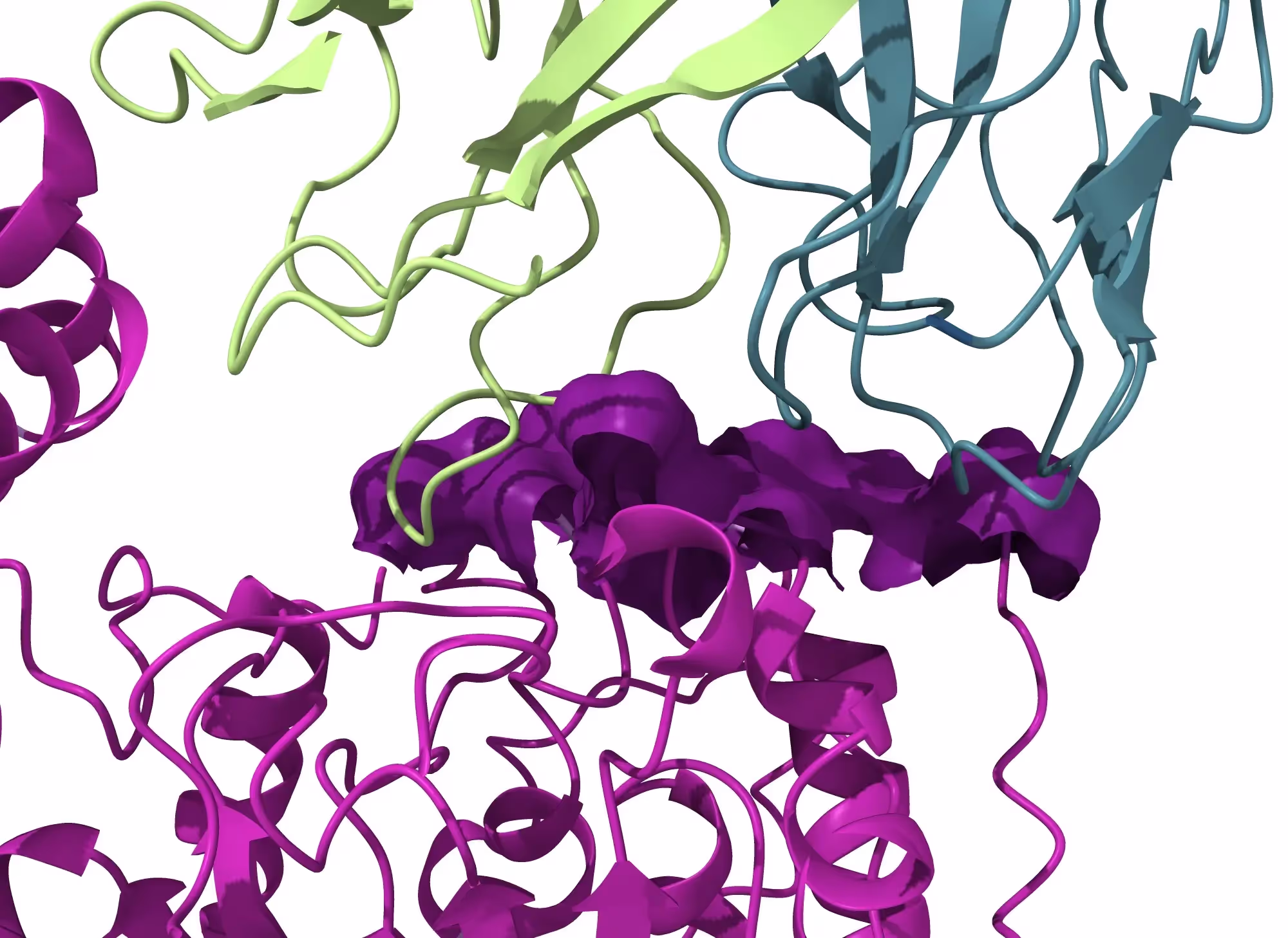Structural view of an antibody-antigen interface used for epitope mapping
