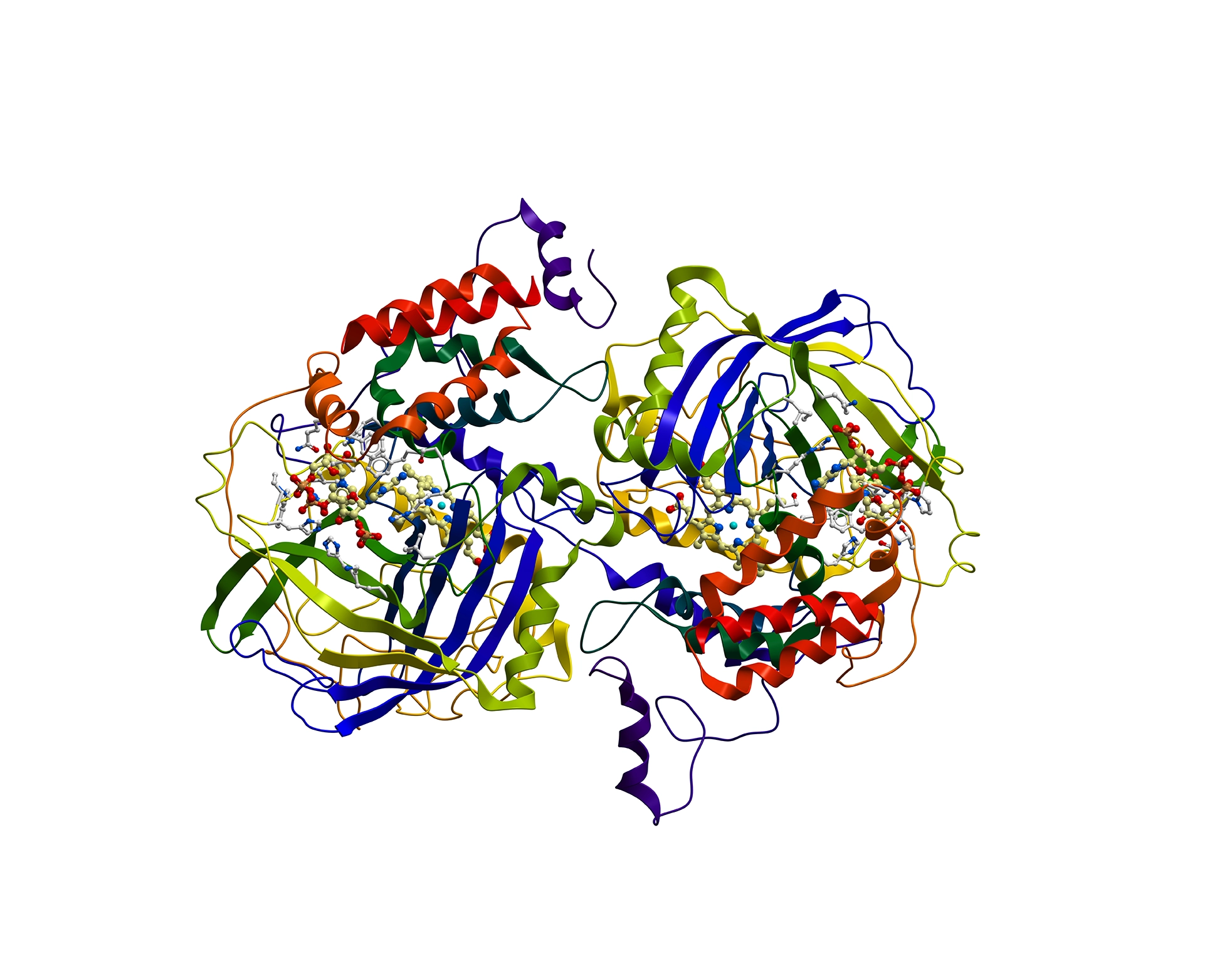 Ribbon representation of a structurally complex recombinant protein