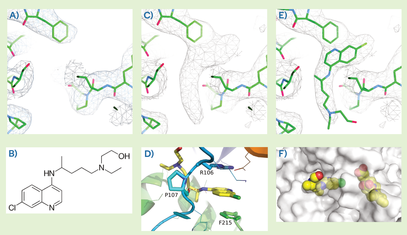 Unliganded and hydroxychloroquine-bound CYP3A4 cryo-EM structures and ligand density