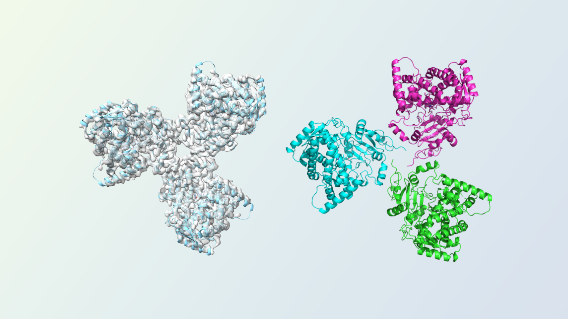 Cryo-EM density map and trimeric structure of CYP3A4