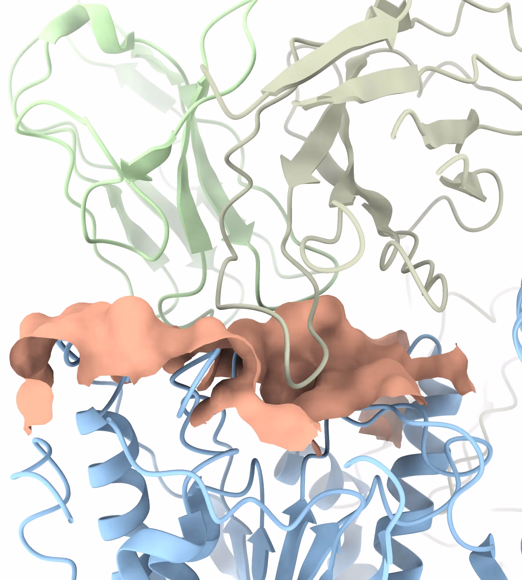 Cryo-EM Epitope Mapping Guide for Antibody-Antigen Complexes