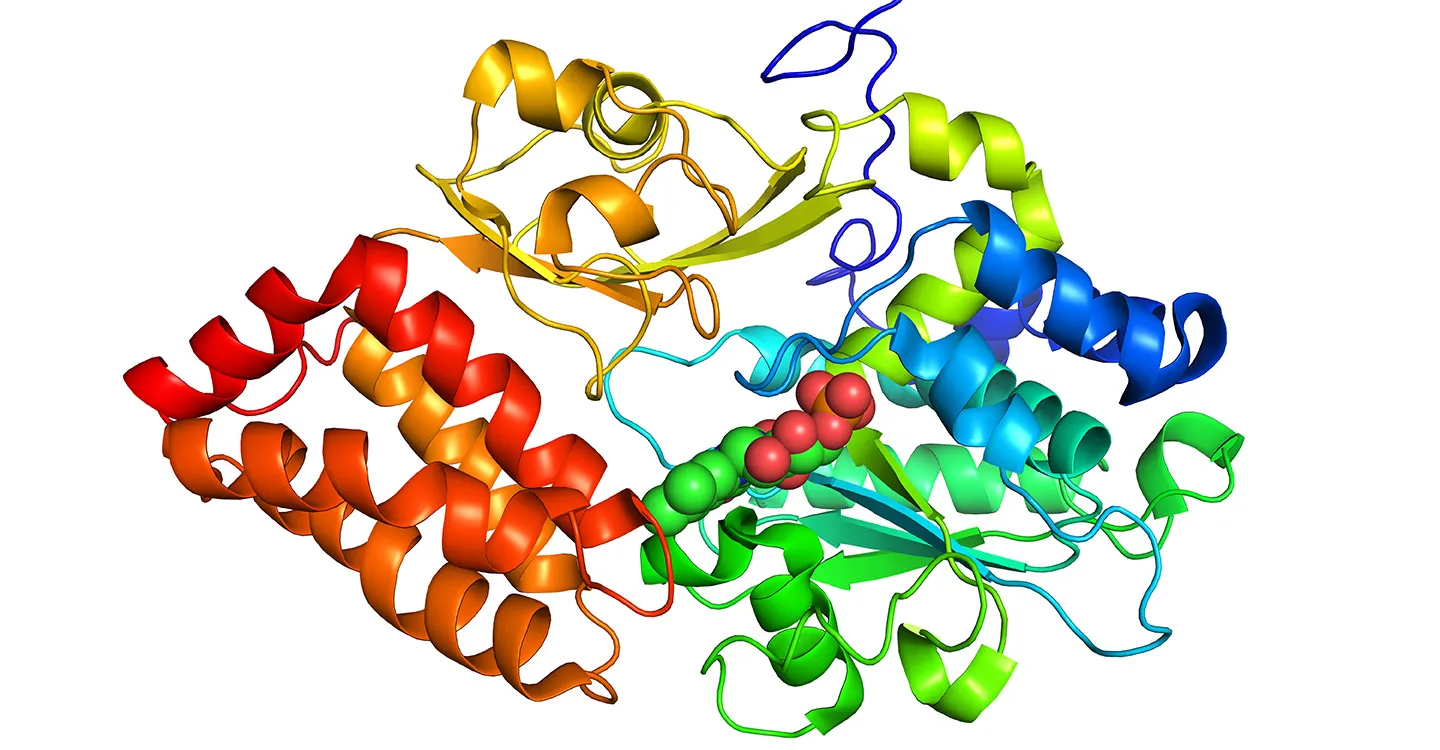Targeted Protein Degradation with Cryo-EM: PROTACs, Molecular Glues, and Ternary Complexes