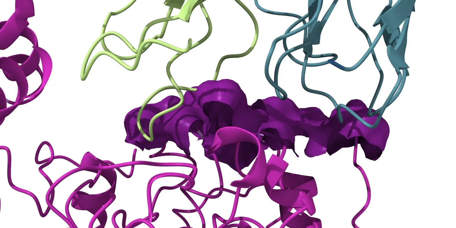 Cryo-EM Validates an AI-Designed Antibody: A Collaboration with Nabla Bio