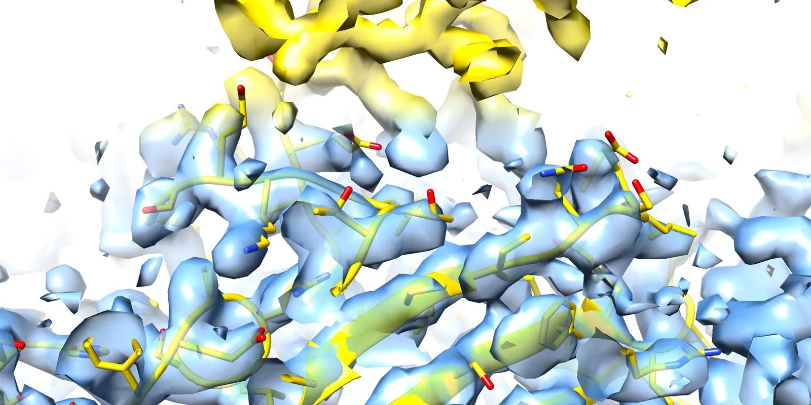 Cryo-EM for Epitope Mapping