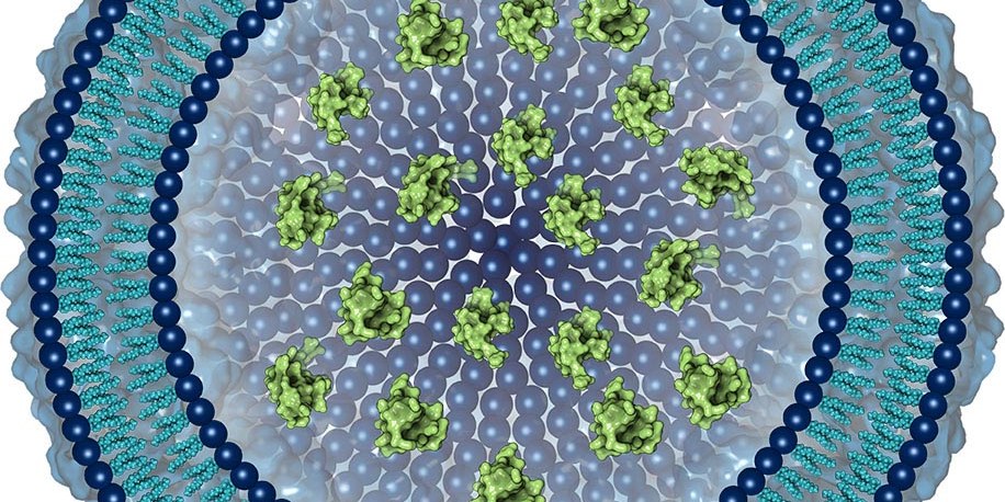 Nanoparticle Characterization Tips
