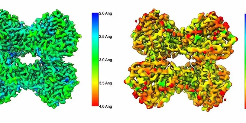 Real-Time Cryo-Electron Microscopy Analysis with cryoSPARC