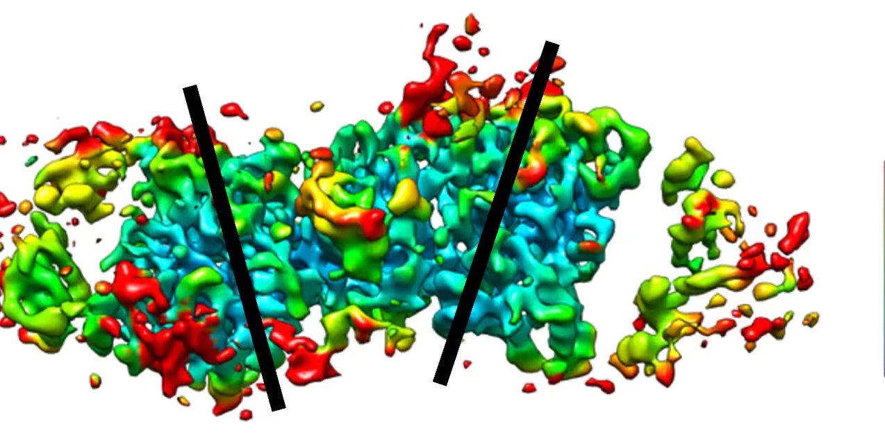 Structural Heterogeneity in Focus: Preparing for Cryo-EM Success