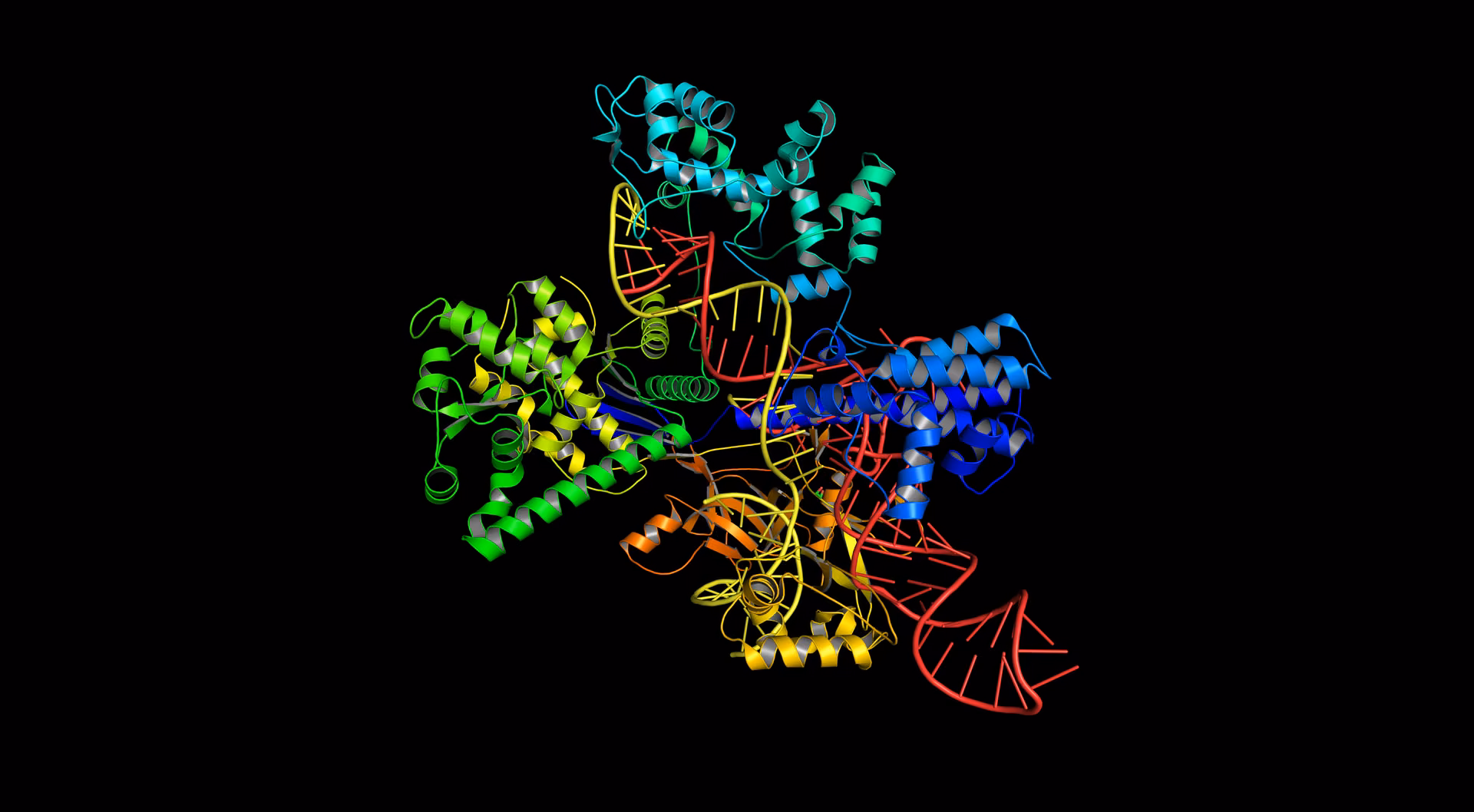 Multicolor protein ribbon structure illustrating fusion protein placement