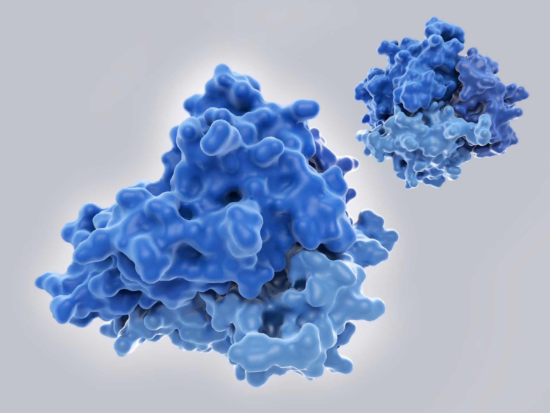 Molecular surface representing a bacterial fusion protein