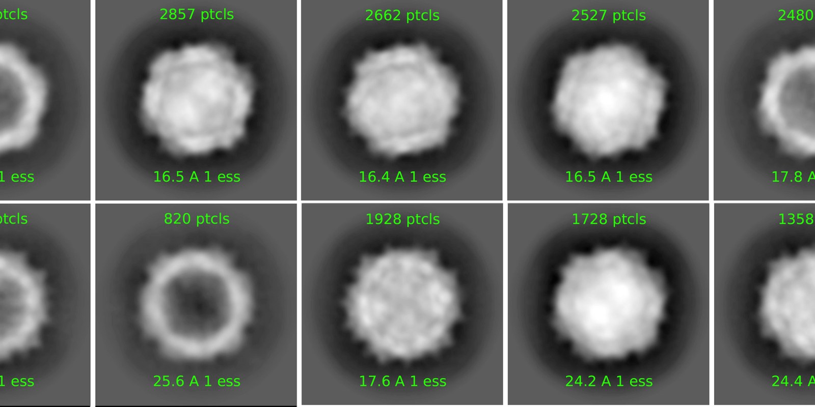 Quality Control of AAV Production with Cryo-TEM