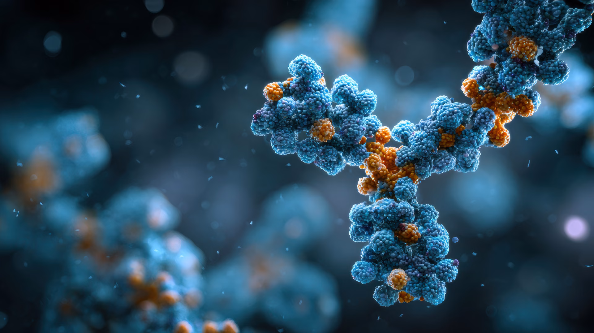 Recombinant antibody structure representing sequence-defined antibody production