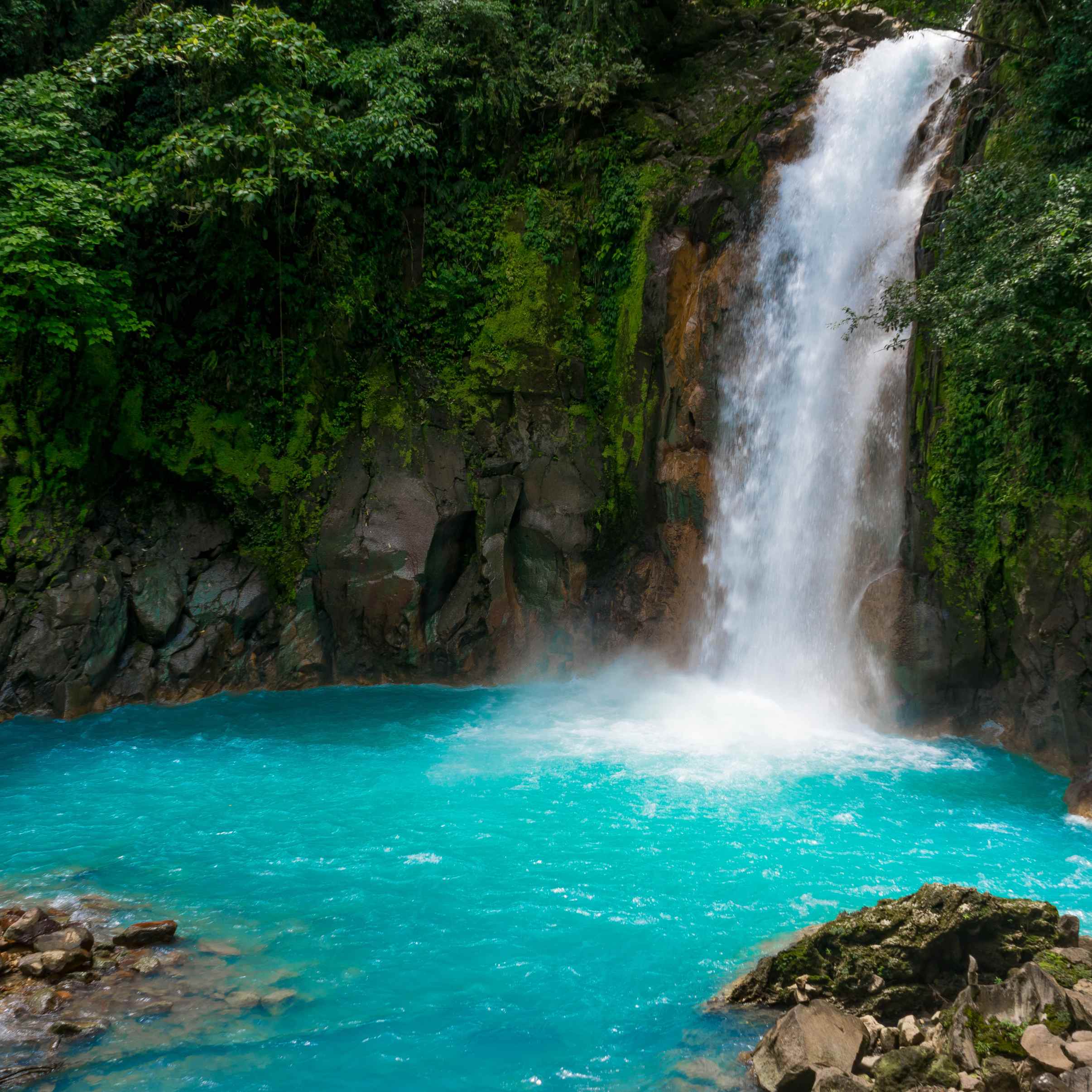 Waterfall flowing into a bright turquoise pool surrounded by green foliage and rocks.