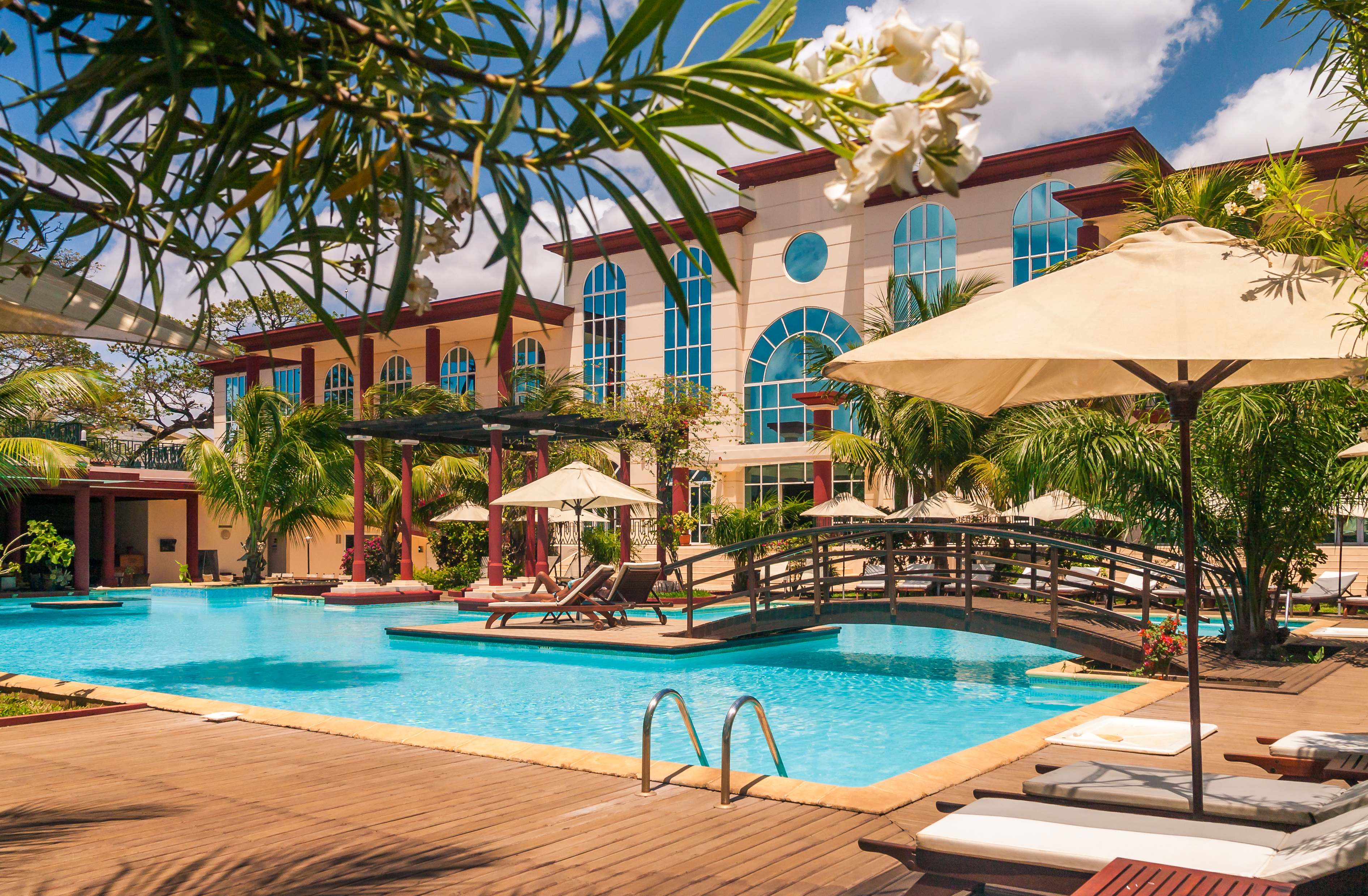 Poolside terrace and palm garden at a boutique resort hotel, the first image a guest finds online