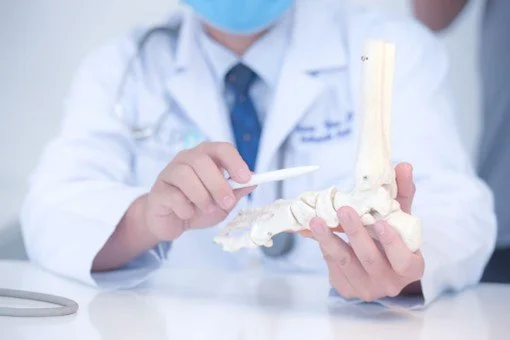 Orthopaedic clinician using an ankle model to explain anatomy