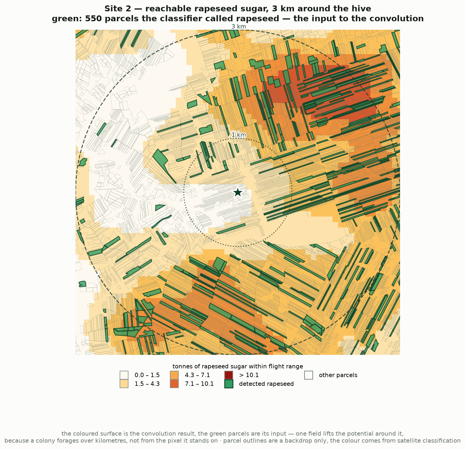 Map of a 3 km area around hive site 2: many detected rapeseed parcels in green over the reachable nectar sugar surface