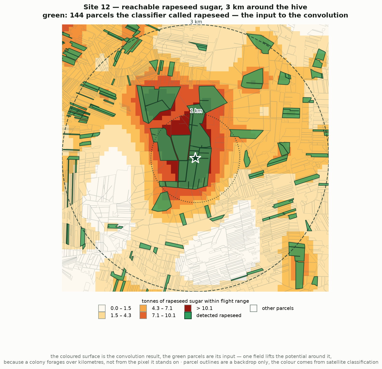 Map of a 3 km area around hive site 12: detected rapeseed parcels in green over the reachable nectar sugar surface