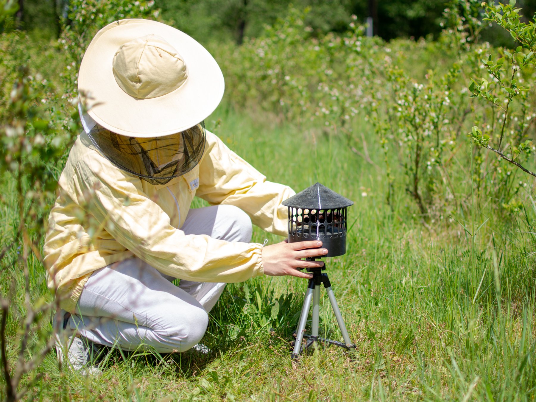Beekeeper setting up a BioSonar acoustic prototype on a tripod in a blueberry field