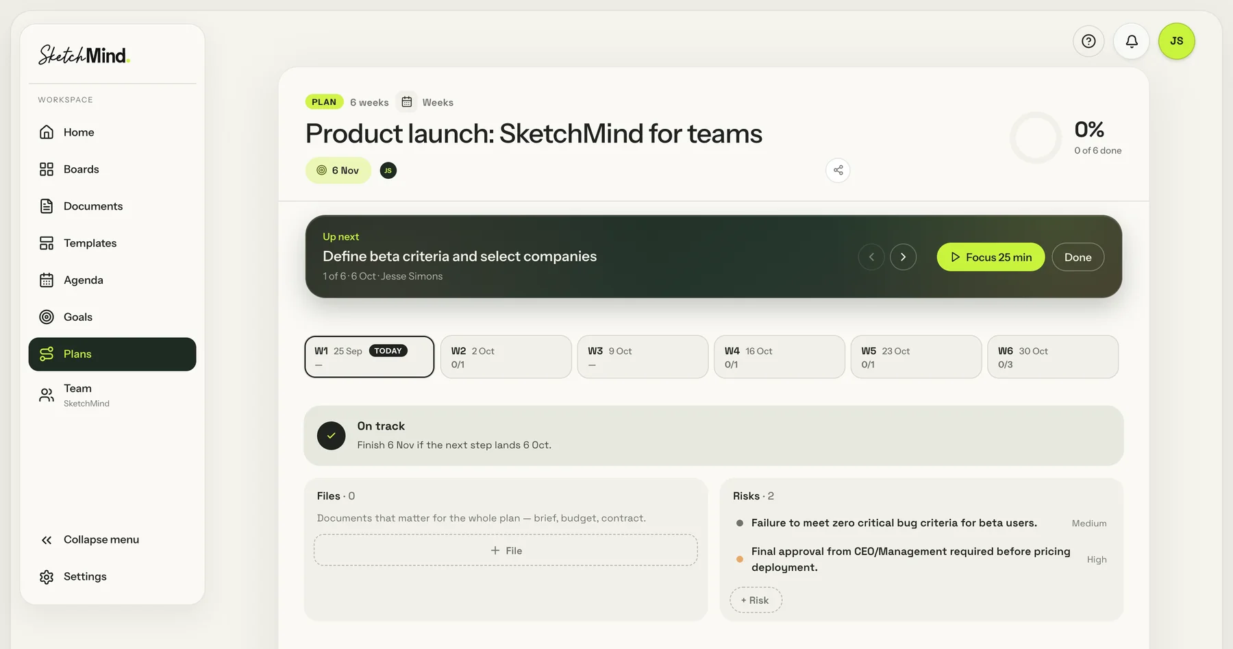 A SketchMind plan with the next step, weekly checkpoints and risks