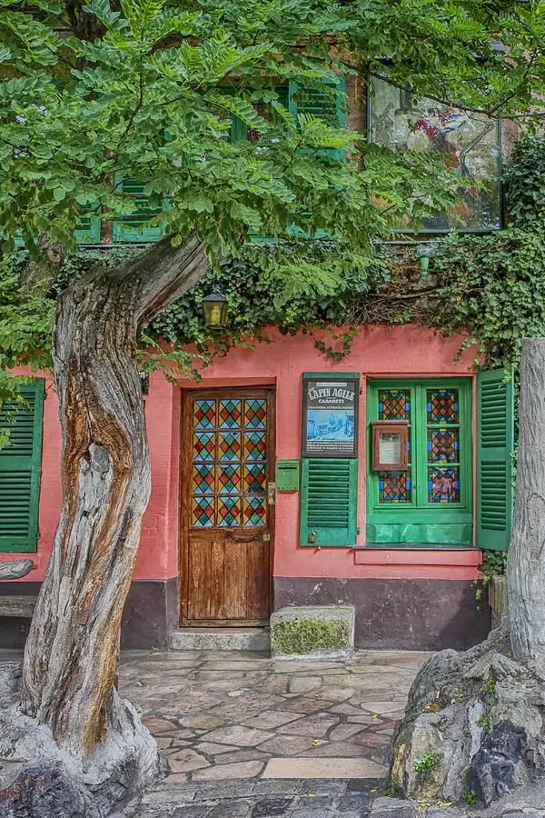 Façade colorée d'un bâtiment avec une porte en bois et fenêtres aux vitraux colorés, entourée de volets verts et d'une végétation luxuriante, dont un arbre noueux au premier plan.