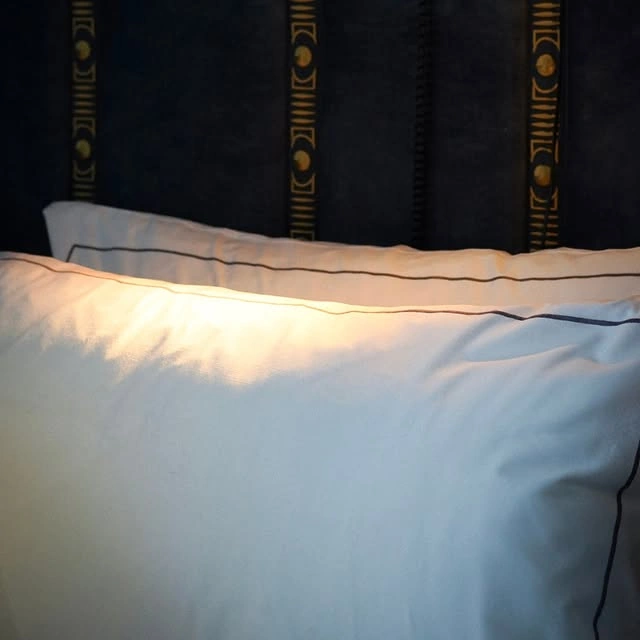 Oreillers blancs avec bordure noire posés contre une tête de lit sombre ornée de motifs dorés répétitifs.