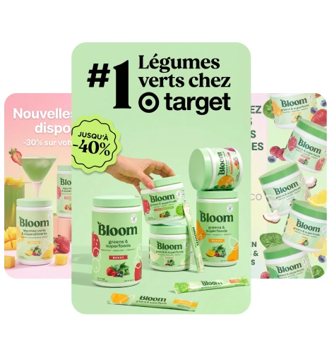 Création de campagnes publicitaires