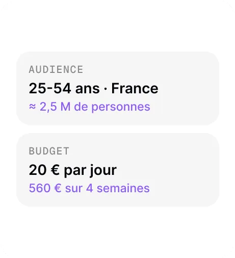 Aperçu de la fonctionnalité « Audience et budget »