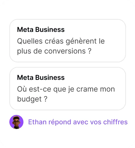 Aperçu de la fonctionnalité « Discutez avec Ethan »