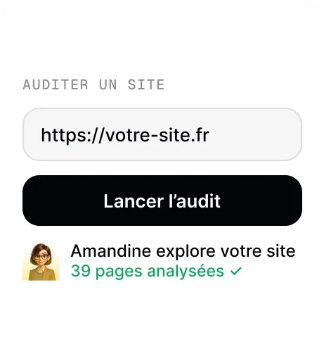 Lancement d'un audit à partir de l'adresse du site