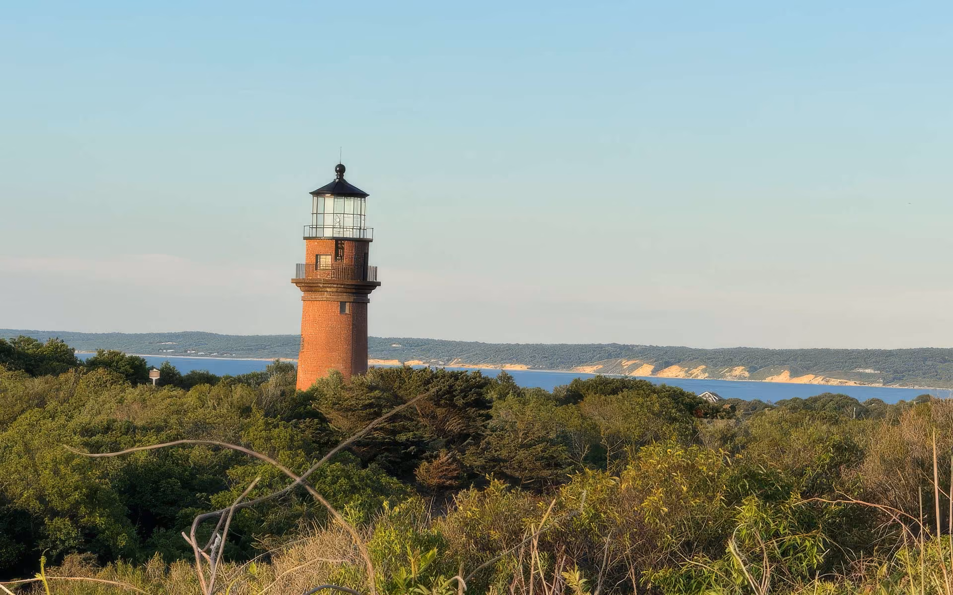 A red brick lighthouse with a black roof stands tall among green trees, with a body of water and a distant forested shoreline under a clear blue sky.