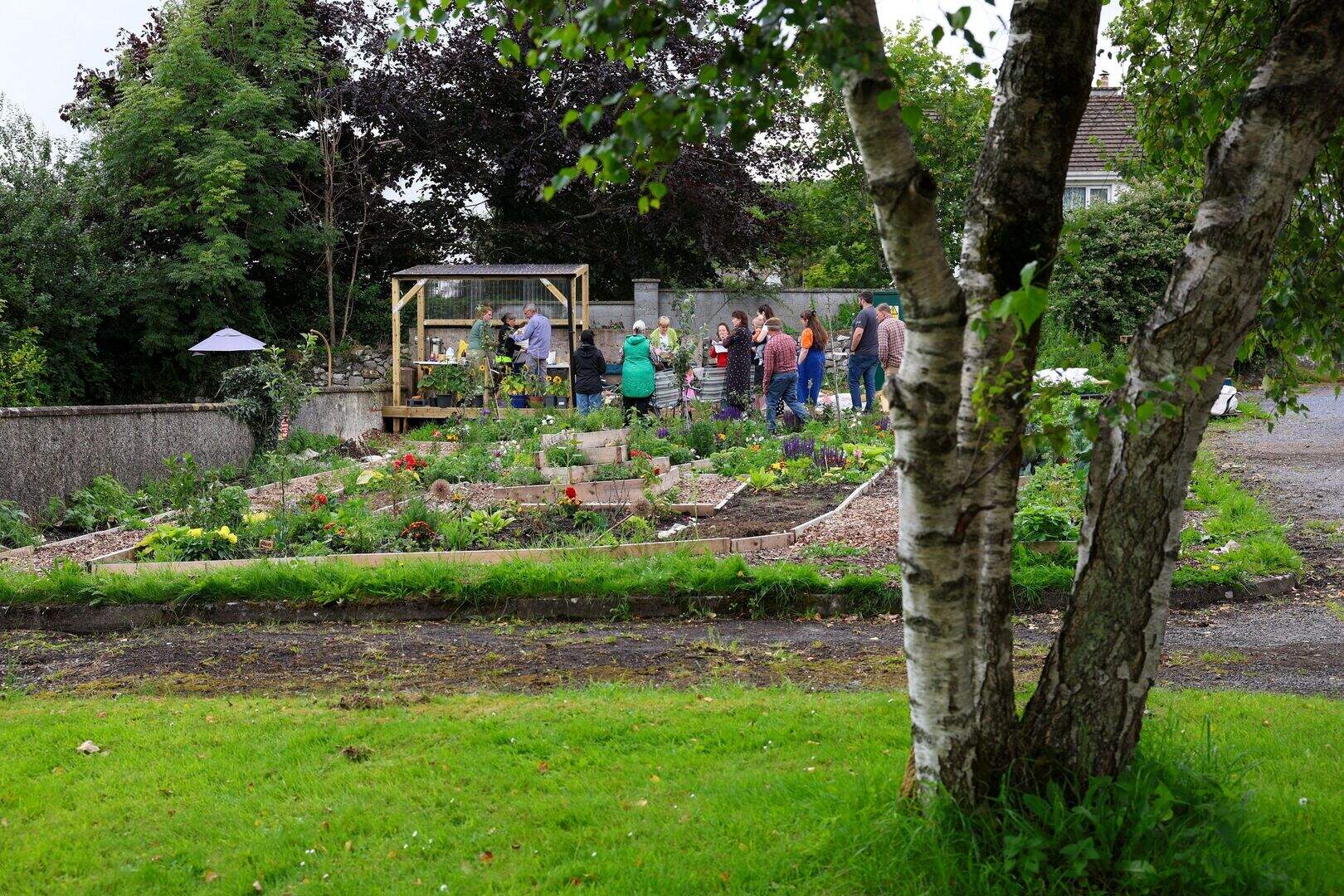 Infrastructure Enabled Edible Landscape