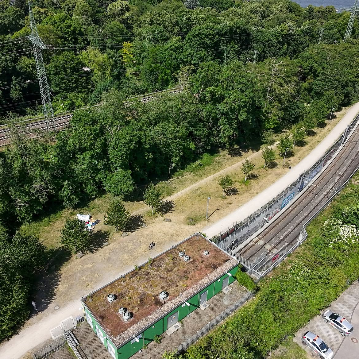 SpeiseWald Süd