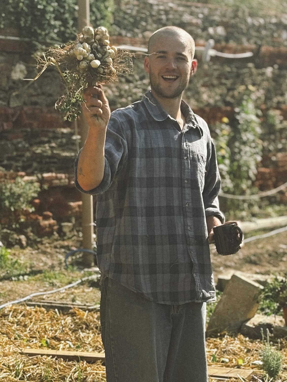 Horchera — Benifallet Food Forest