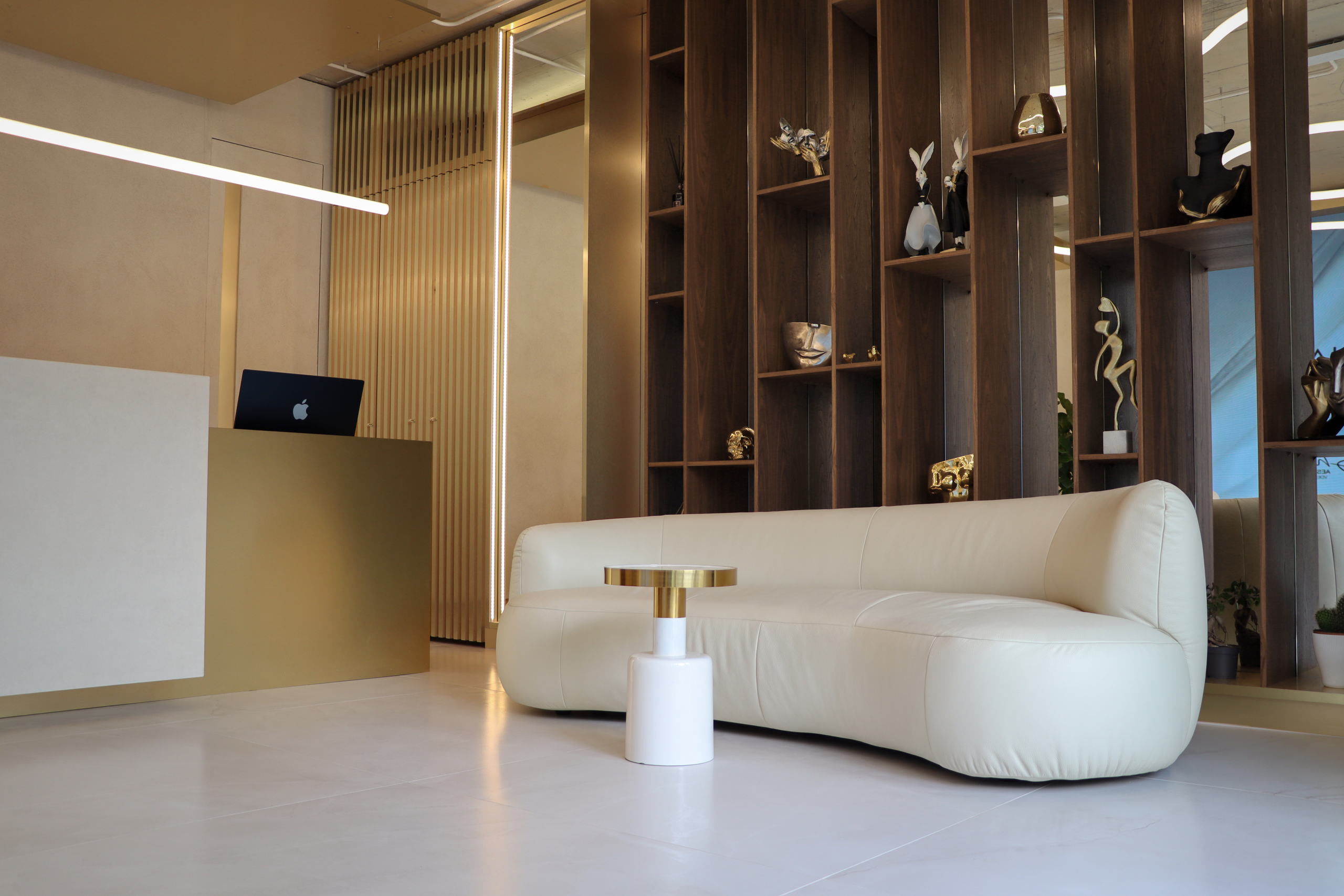 VDERM — reception desk and curved sofa