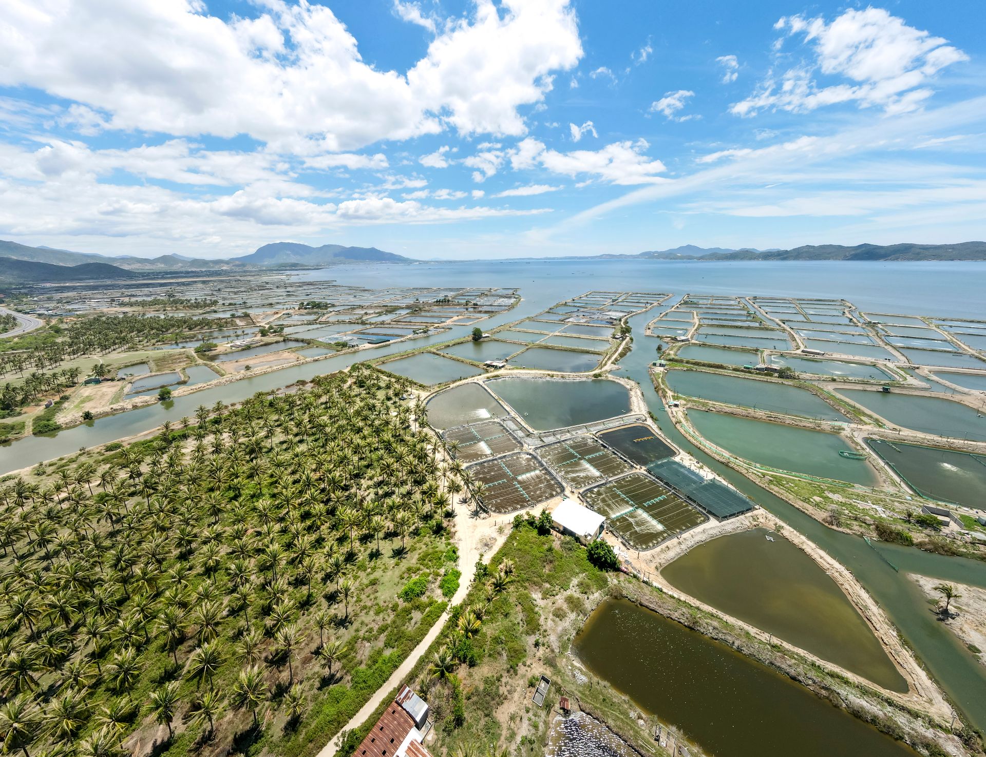 Vista aérea de fazendas de peixes (aquicultura) e vegetação costeira