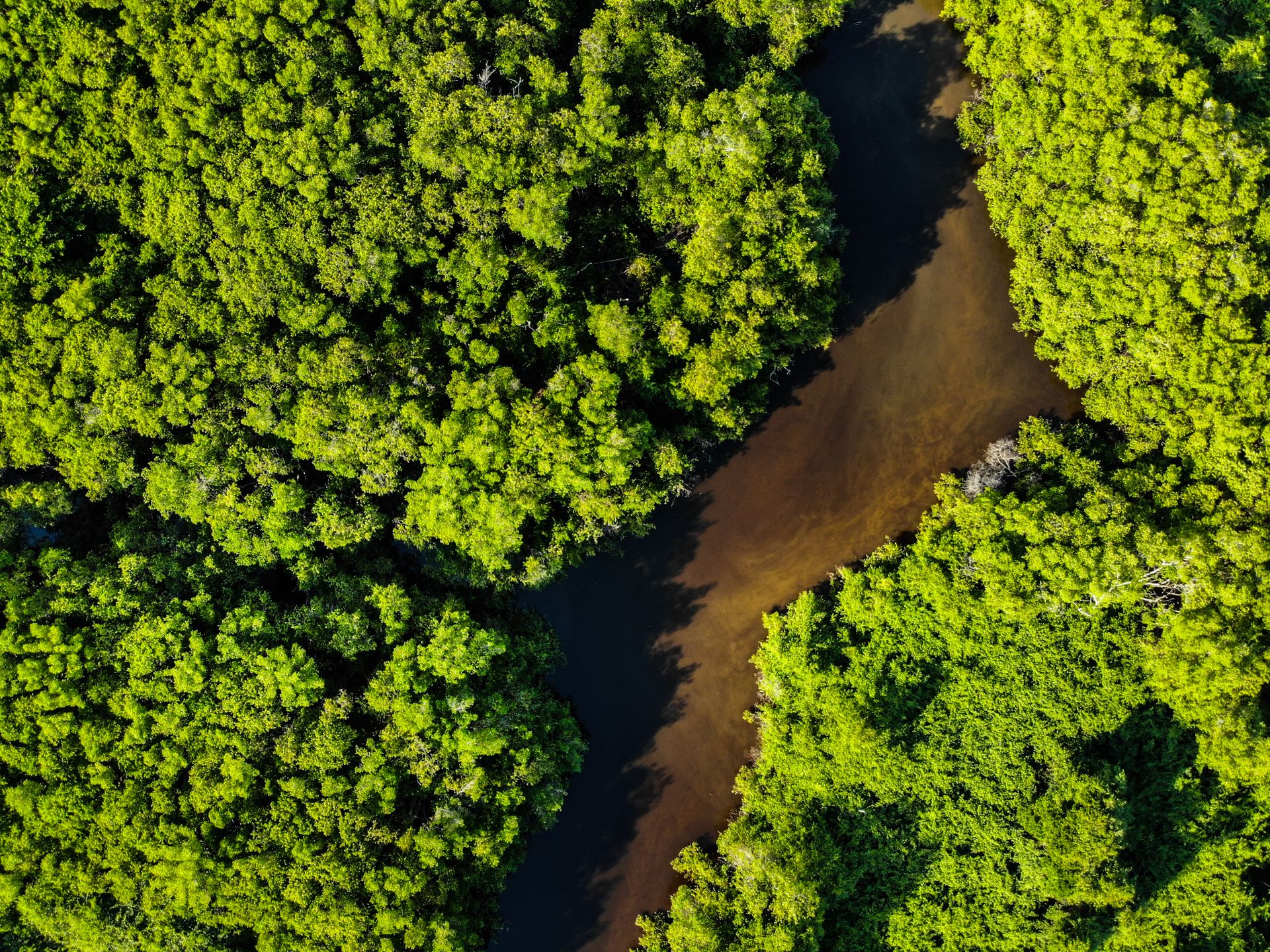 STJ mantém isenção de IPTU para terreno com restrição ambiental máxima