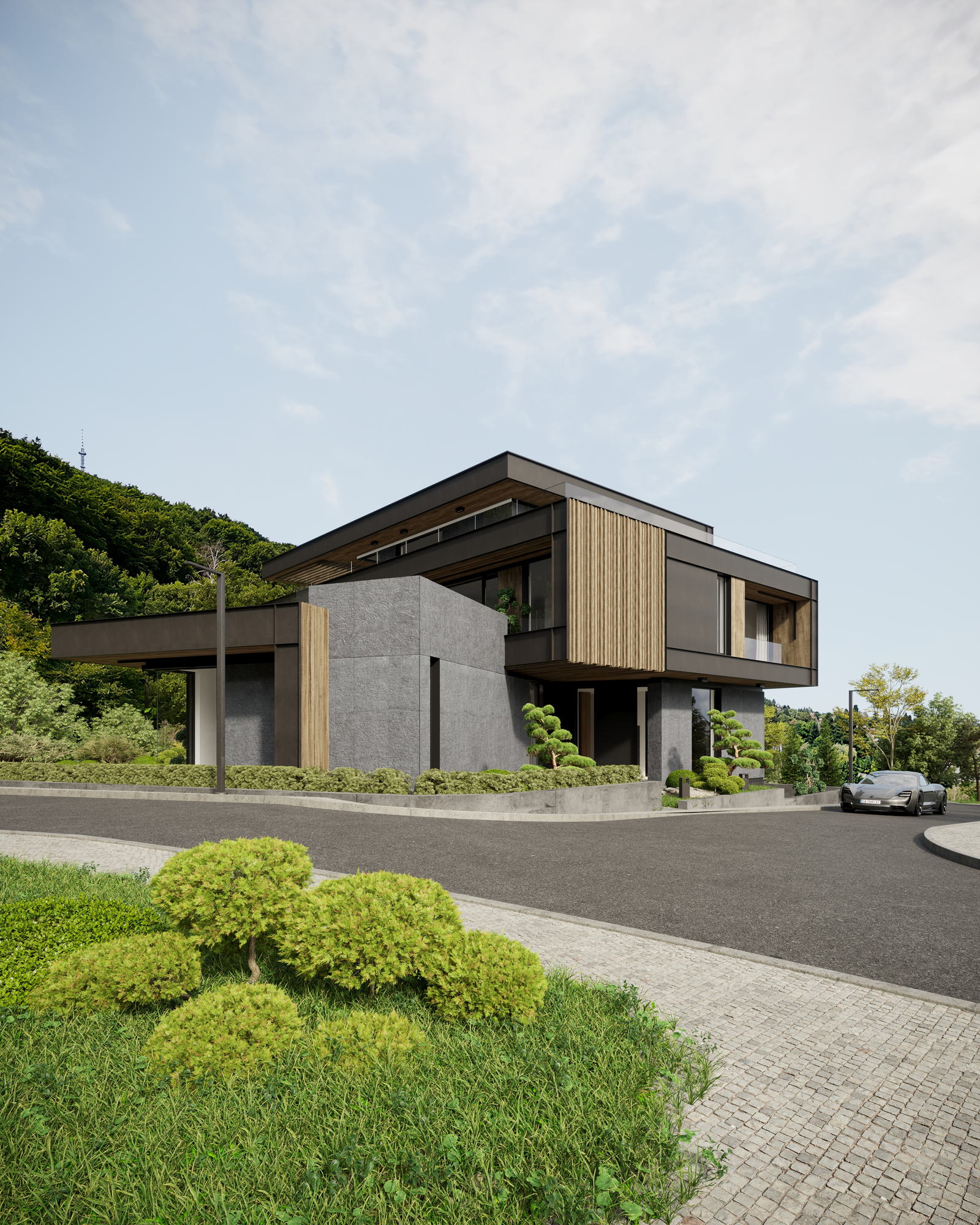 HN House — the house set into the slope