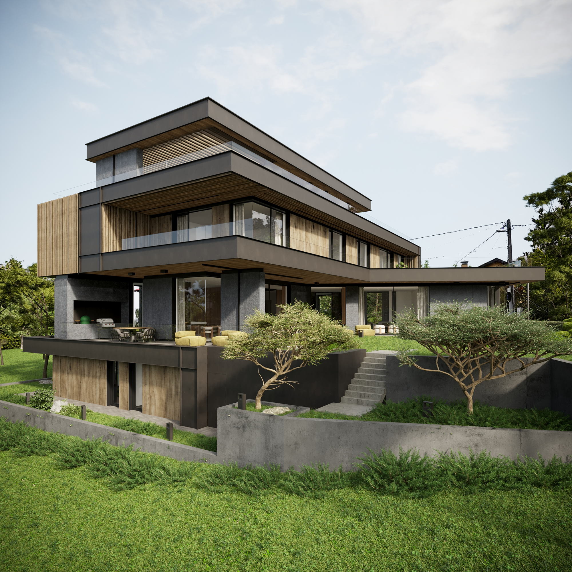 HN House — full elevation across the hillside