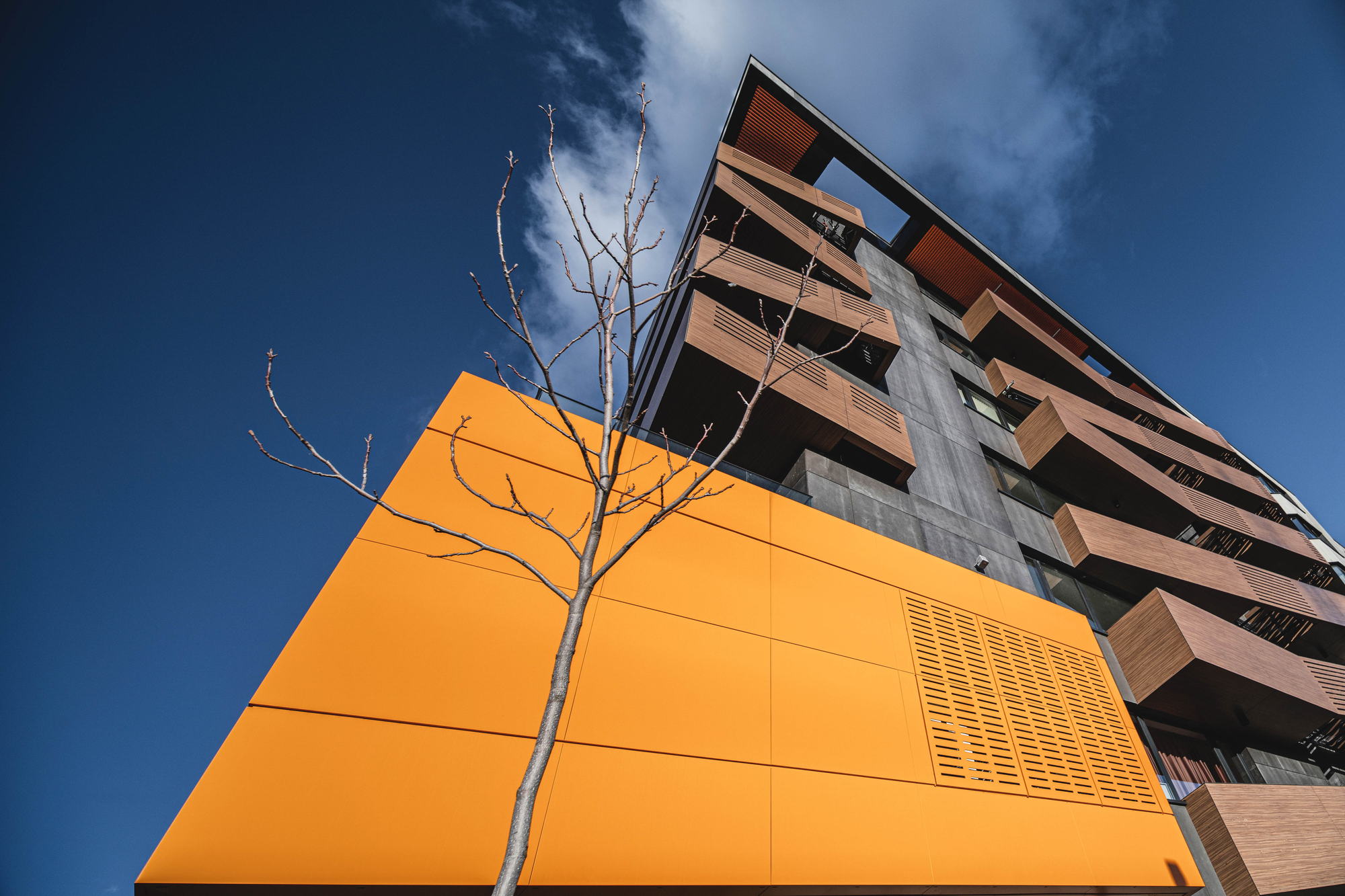 RUhouse — orange facade panel against the sky