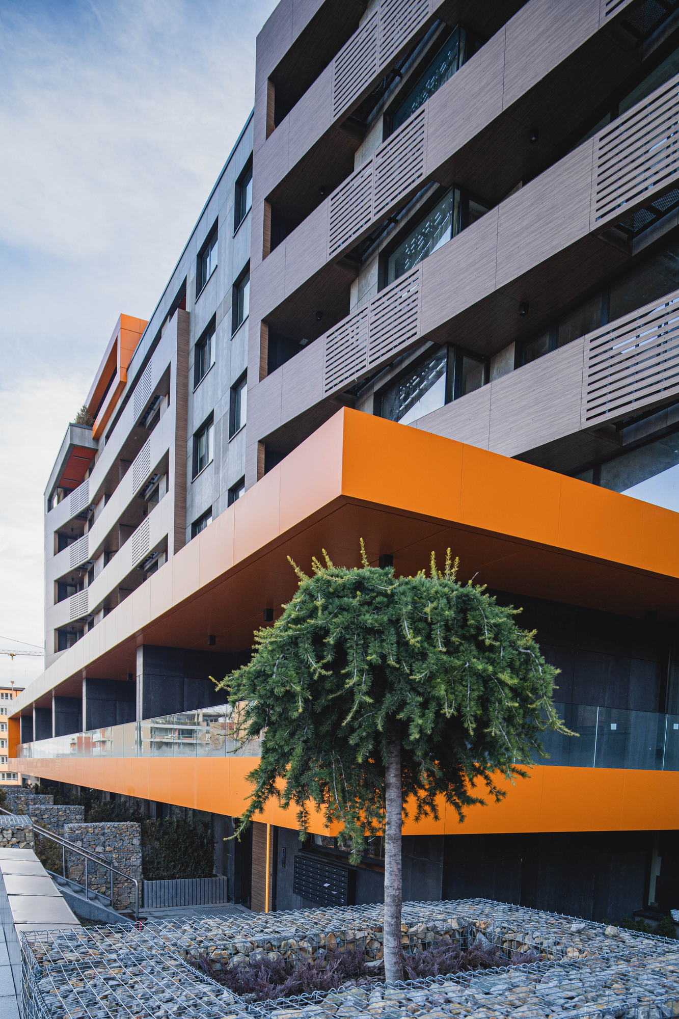 RUhouse — elevation and forecourt planting
