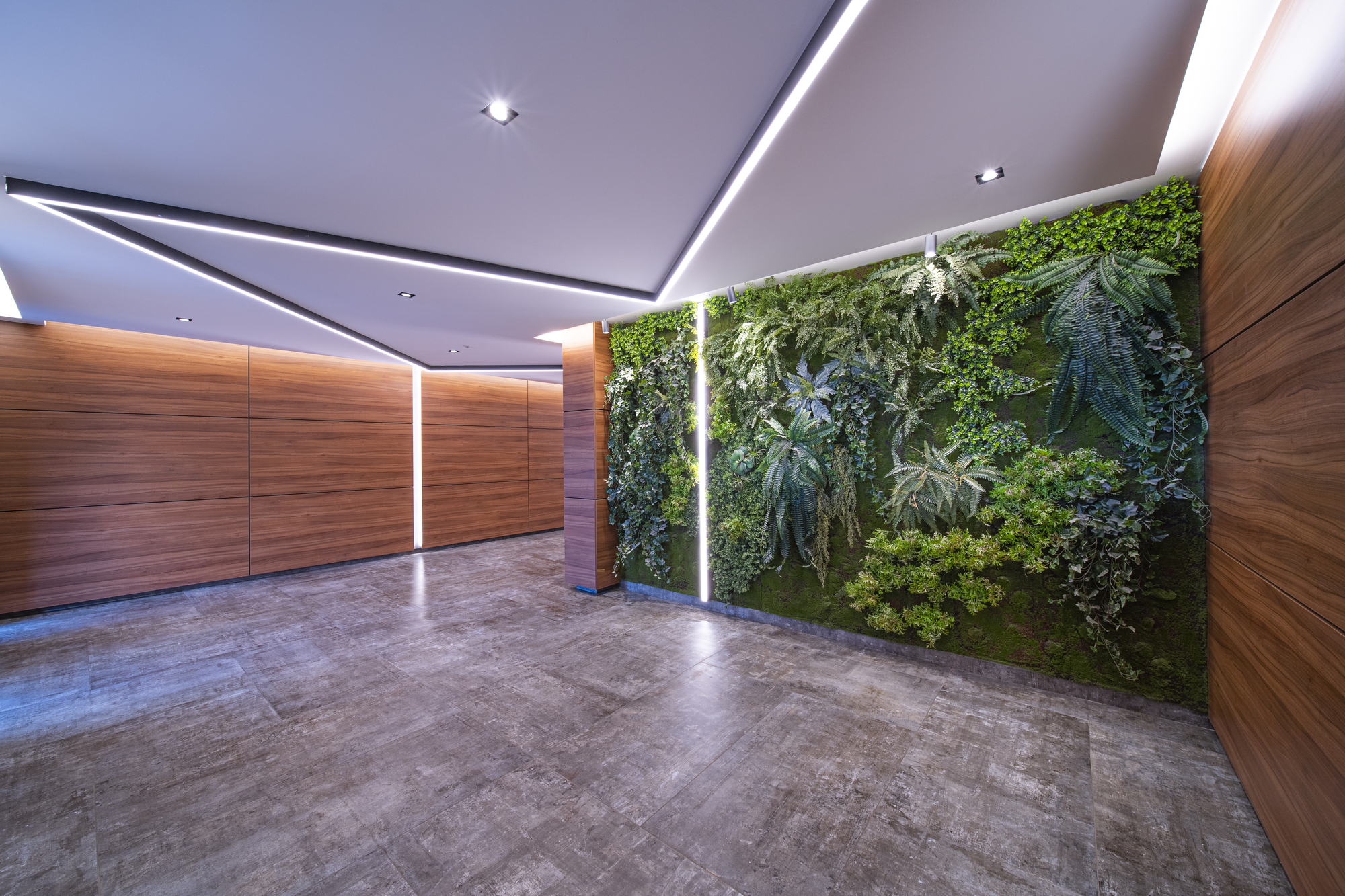 RUhouse — foyer and planted wall