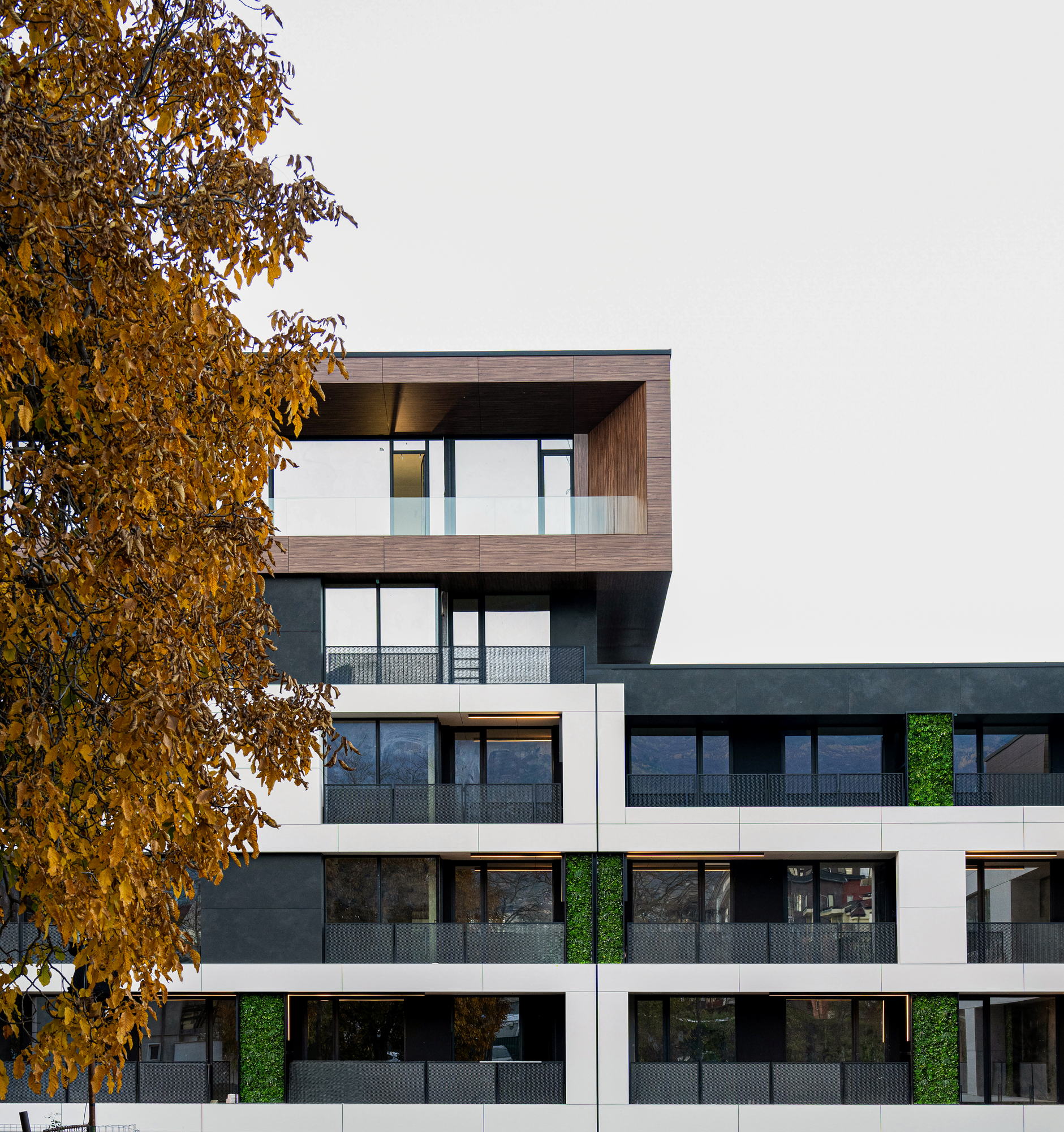 RUhouse II — the building behind autumn trees