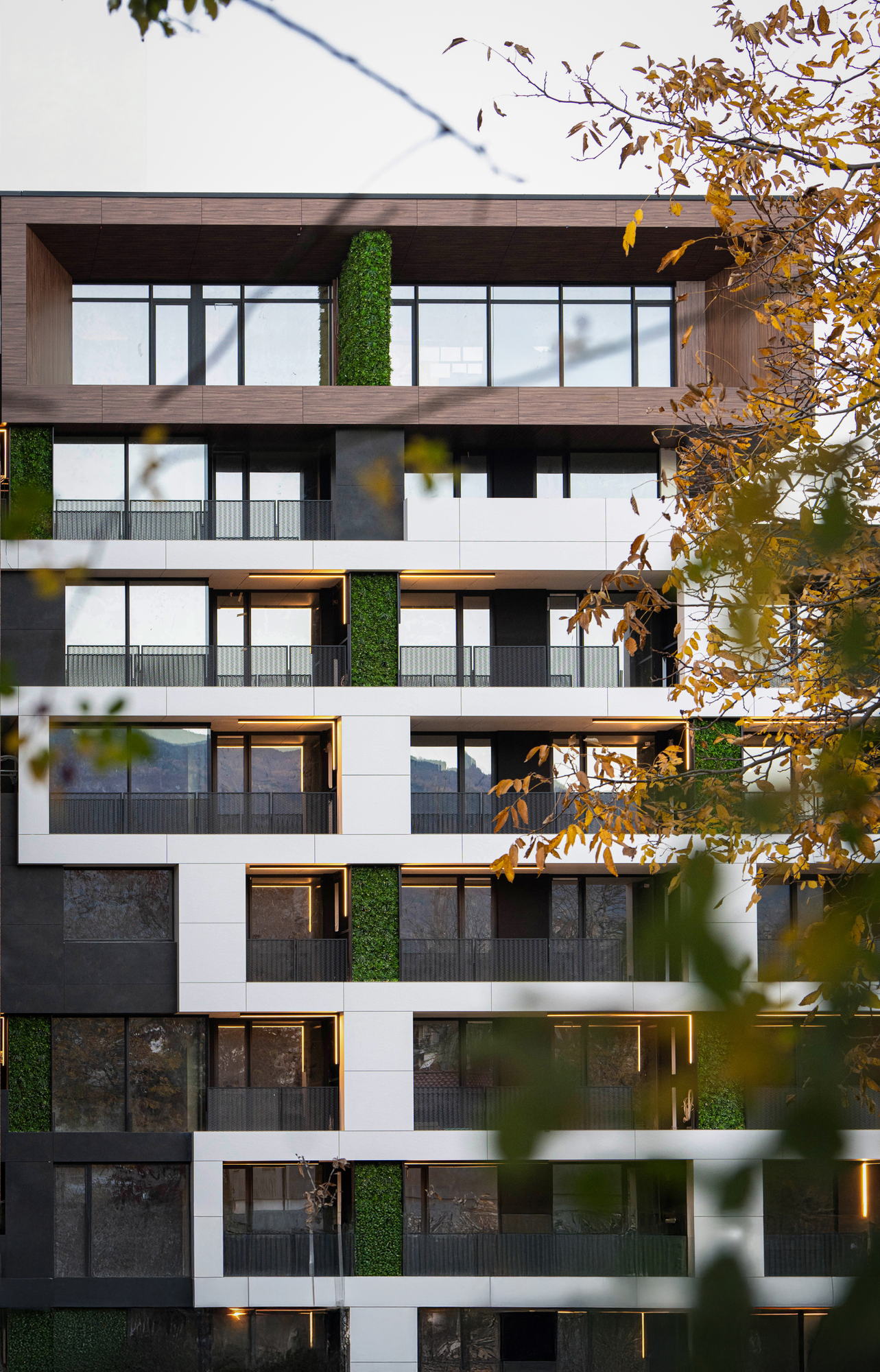 RUhouse II — windows and green wall detail