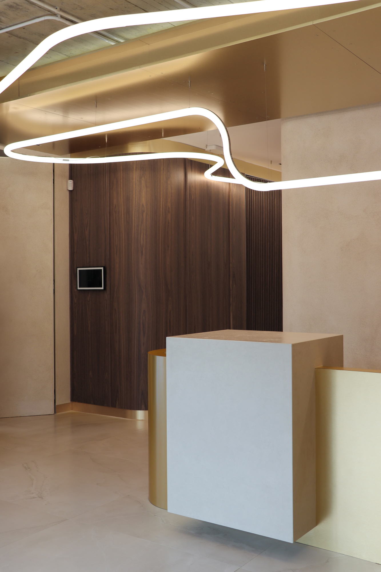 VDERM — reception counter and walnut wall