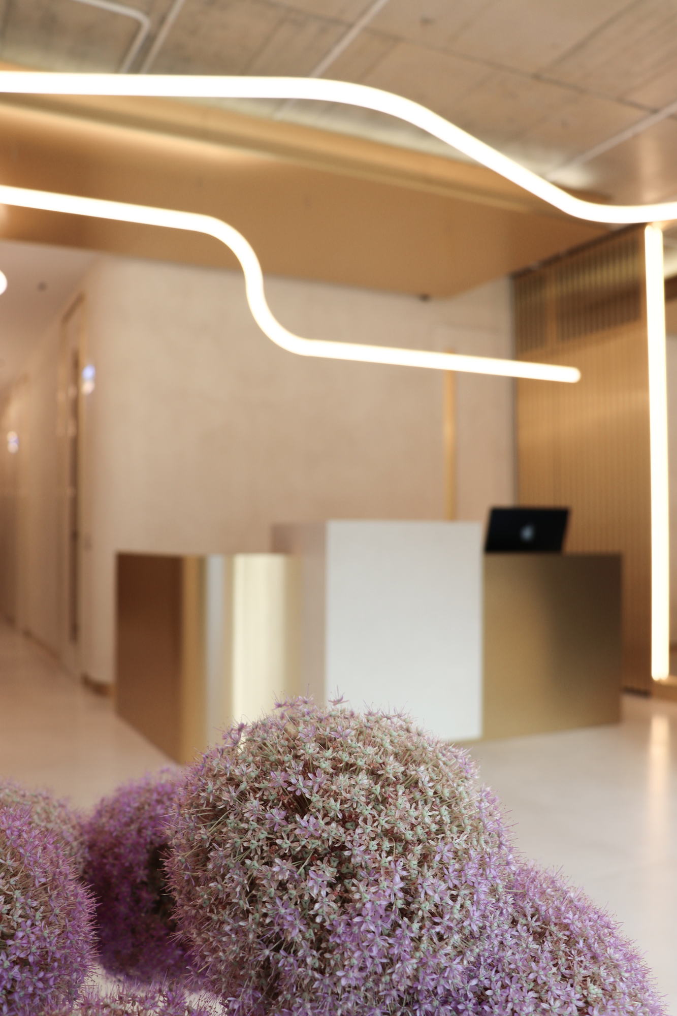 VDERM — dried flowers in the foreground of the lobby