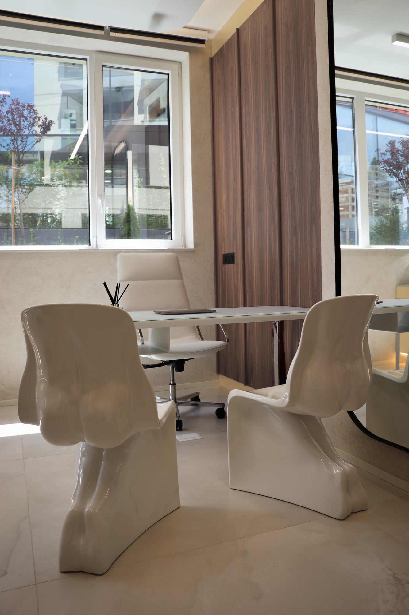 VDERM — consultation room and window